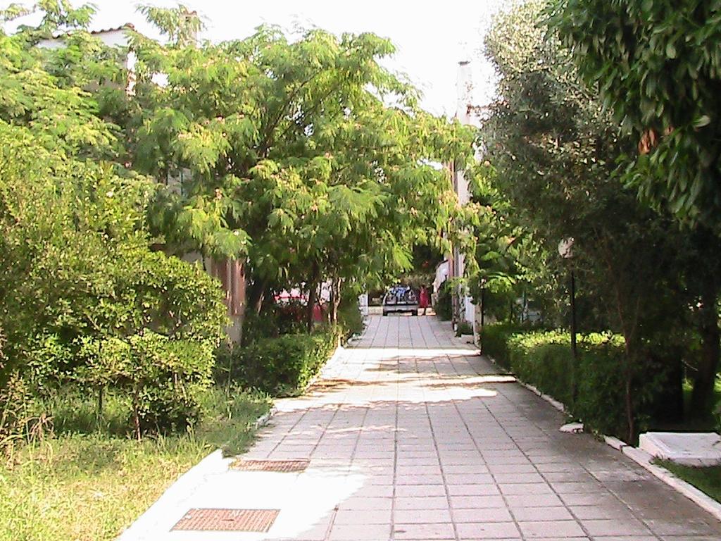 Apartment Niki
